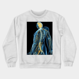 Human nervous system, artwork (F004/1384) Crewneck Sweatshirt